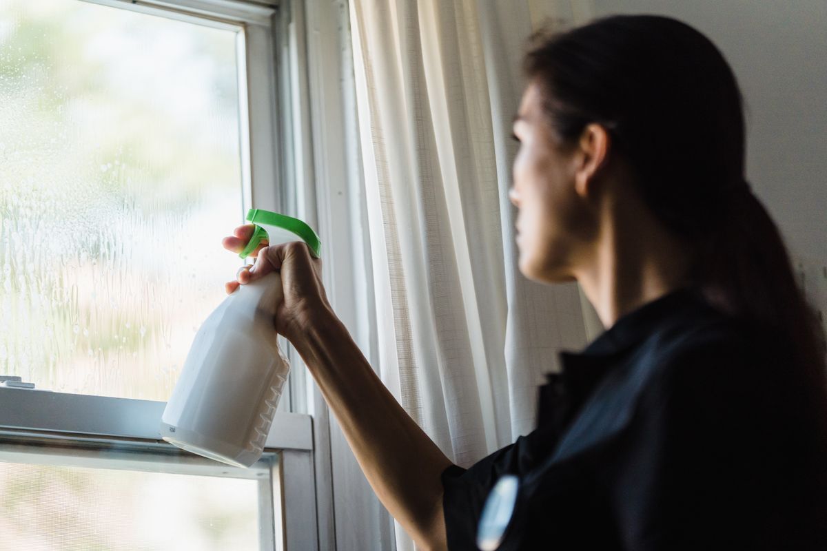 ApricotCleaning team member cleaning a window